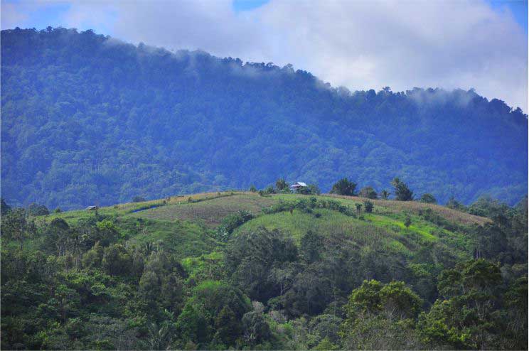 Pemandangan Desa Boladangko